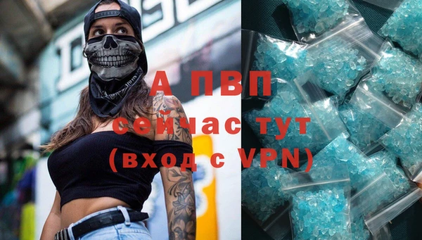 PSILOCYBIN Киреевск