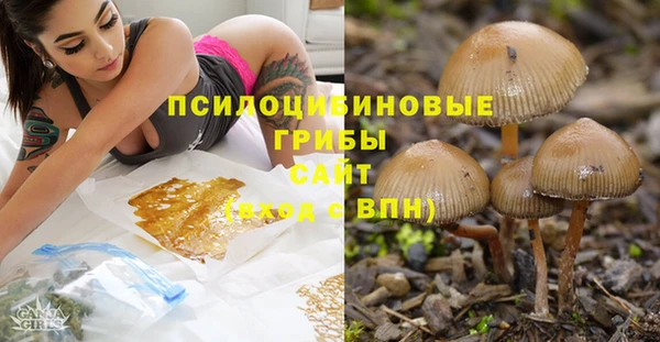 PSILOCYBIN Киреевск